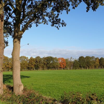 Heerlijk wandelen in omgeving Marisheem